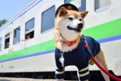Nhật Bản bổ nhiệm chó, mèo, tôm hùm là trưởng ga tàu